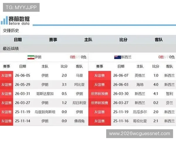 世界杯伊朗对阵新西兰比赛中红牌数详细统计与分析